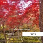 화담숲 홈페이지 바로가기 및 예약 방법