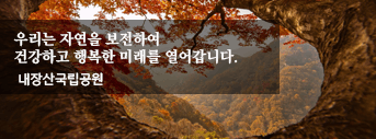 내장산 국립공원