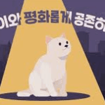길고양이와 공존하기