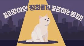 길고양이와 공존하기