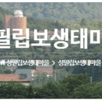 황창연신부 생태마을 청국장가루