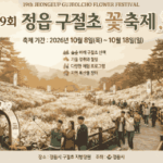 정읍 구절초 축제